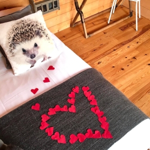 Image hebergement insolite CABANE H&Eacute;RISSON