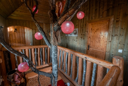 Image hebergement insolite CH&Acirc;TEAU DANS LES ARBRES (10 PERSONNES)