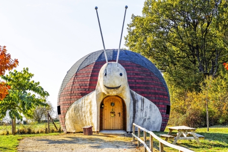 Image hebergement insolite LA MAISON ESCARGOT (6 PERSONNES)