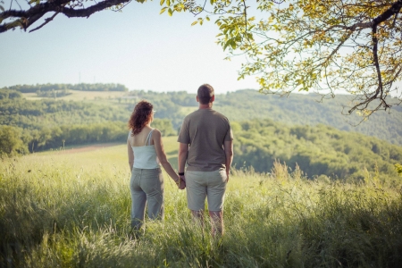 Image hebergement insolite P&Eacute;PIITE P&Eacute;RIGORD VERT - LODGE COSY NATURE & SPA