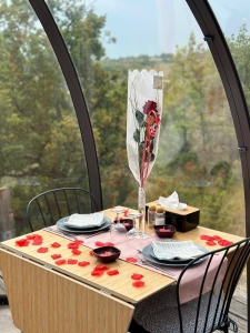 Image hebergement insolite D&Ocirc;ME CONFORT