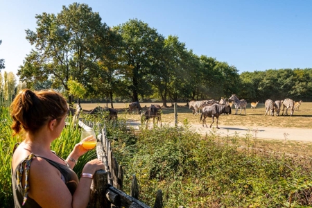 Image hebergement insolite S&Eacute;JOUR INSOLITE - BIVOUAC EN TANZANIE