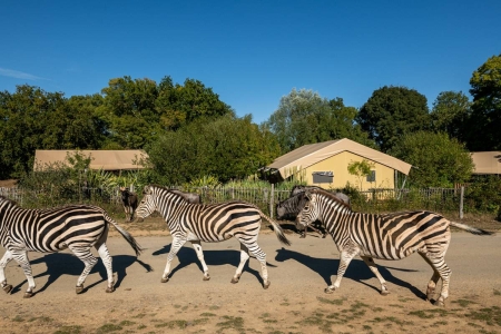 Image hebergement insolite S&Eacute;JOUR INSOLITE - BIVOUAC EN TANZANIE