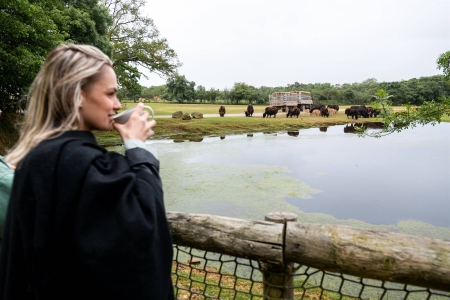 Image hebergement insolite S&Eacute;JOUR INSOLITE - BIVOUAC EN MONGOLIE