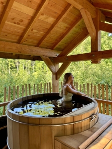 Image hebergement insolite LE GRAND D&Ocirc;ME PERCH&Eacute; SPA