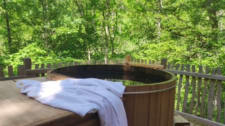 Image hebergement insolite LA CABANE F&Eacute;ERIQUE SPA