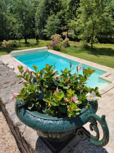 Image hebergement insolite MOULIN AU BORD DE L'EAU AVEC SALON DANS LA CASCADE 