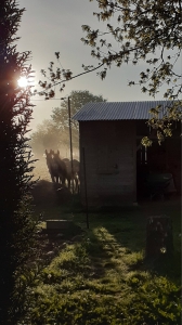 Image hebergement insolite ROULOTTE GITANE