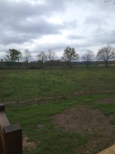 Image hebergement insolite LA POETE " LA MUSE"