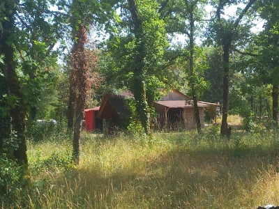 Image hebergement insolite LA CABANE DANS LES BOIS