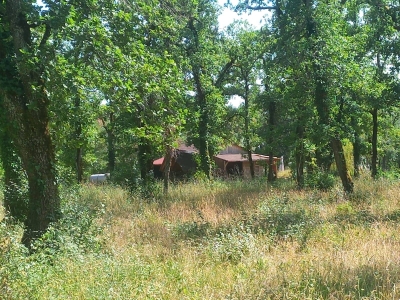 Image hebergement insolite LA CABANE DANS LES BOIS