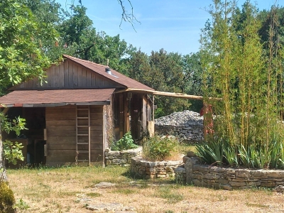 Image hebergement insolite LA CABANE DANS LES BOIS
