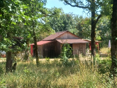 Image hebergement insolite LA CABANE DANS LES BOIS