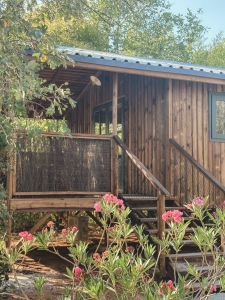 Image hebergement insolite CABANE SELVA