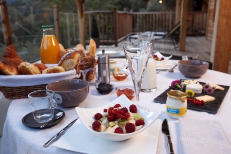 Image hebergement insolite LA CABANE SPA DU FANABREGUE