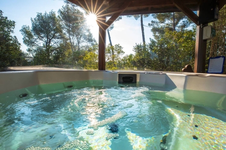 Image hebergement insolite ATTRAP'RÊVES