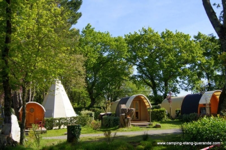 Image hebergement insolite HÉBERGEMENTS ATYPIQUES DU CAMPING DE L'ÉTANG DU PAYS BLANC