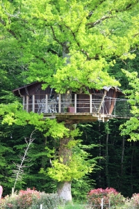 Image hebergement insolite CABANE DANS LES ARBRES (2 PERSONNES)