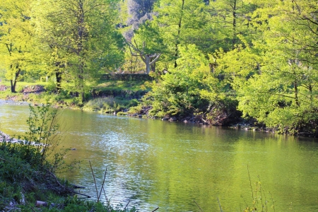 Image hebergement insolite CHÂTAIGNE ÉTOILÉE EN BORD DE RIVIERE