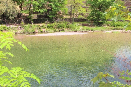 Image hebergement insolite CHÂTAIGNE ÉTOILÉE EN BORD DE RIVIERE