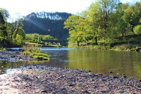 Image hebergement insolite CHÂTAIGNE ÉTOILÉE EN BORD DE RIVIERE