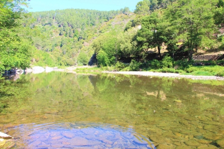 Image hebergement insolite LES CHATAIGNES DU CAMPING LE MOULIN DE LUECH** EN CEVENNES