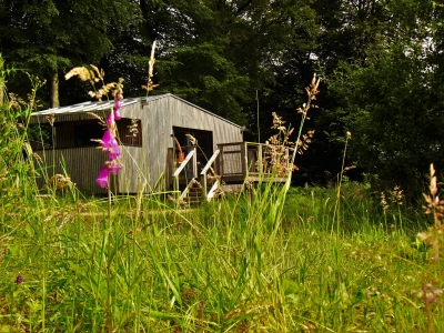 Image hebergement insolite CHALET EN BOIS TERRASSE NORMANDIE CALVADOS ETAPE EN FORET