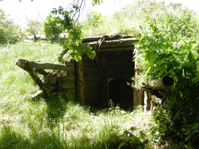 Image hebergement insolite LE GITE DU GOUBELIN : FEERIE, PISCINE ET JACUZZI
