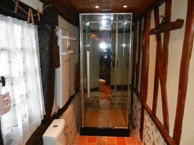 Image hebergement insolite LE GÎTE DES 3 VACHES : CHEMINEE, PISCINE ET JACUZZI