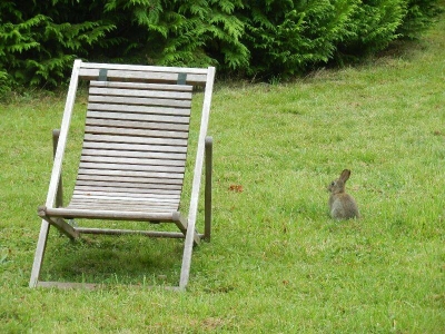 Image hebergement insolite LES ROULOTTES DE LA RISLE : PISCINE ET JACUZZI
