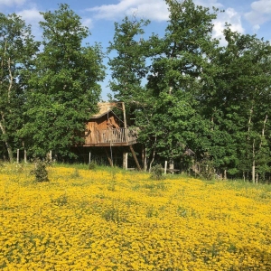 Image hebergement insolite LES CABANES PERCHÉES AUX CABANES DE JEANNE