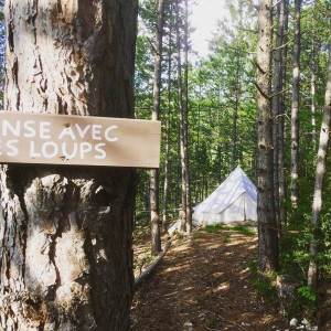 Image hebergement insolite ECOLODGES