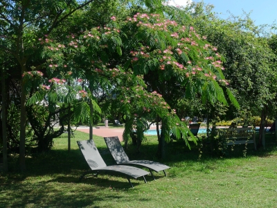 Image hebergement insolite ROULOTTE AUX VOLETS ROUGES