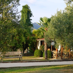 Image hebergement insolite ROULOTTE AUX VOLETS ROUGES