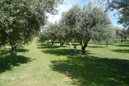 Image hebergement insolite ROULOTTE AUX VOLETS ROUGES