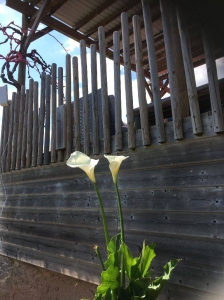 Image hebergement insolite AIR NATURE LIMOUSIN