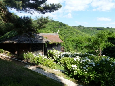 Image hebergement insolite LE NID DU DRAGON ROUGE