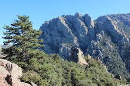 Image hebergement insolite LE NID DU DRAGON ROUGE