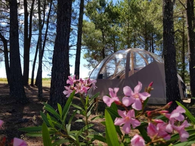 Image hebergement insolite BULLE "ETOILE D'ARDECHE"
